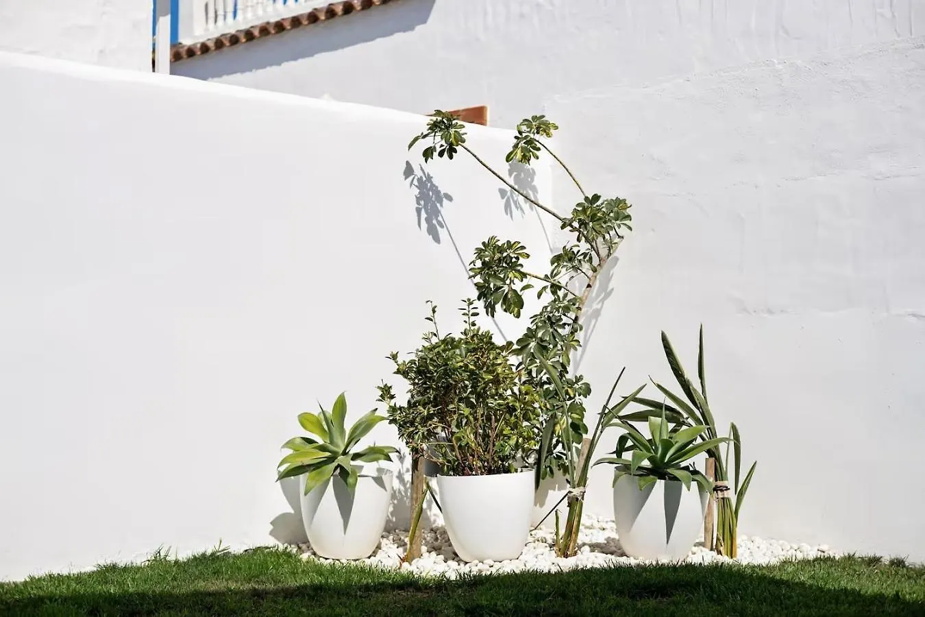 Villa Casa Orquidea El Palmar de Vejer